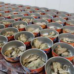 صادرات عمده کنسرو تن ماهی با بهترین کیفیت