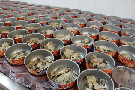 صادرات عمده کنسرو تن ماهی با بهترین کیفیت