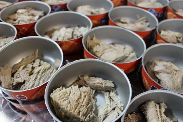خرید انواع کنسرو ماهی زیر قیمت بازار