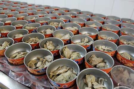 صادرات انواع کنسرو تن ماهی به قیمت کارخانه