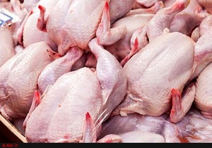 توزیع کنسرو مرغ در بازارهای جنوب