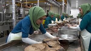 قیمت عمده تن ماهی در بهترین کارخانه های ایران