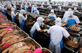 قیمت تن ماهی امروز در فروشگاه ها ؛ خرید و فروش عمده تن ماهی
